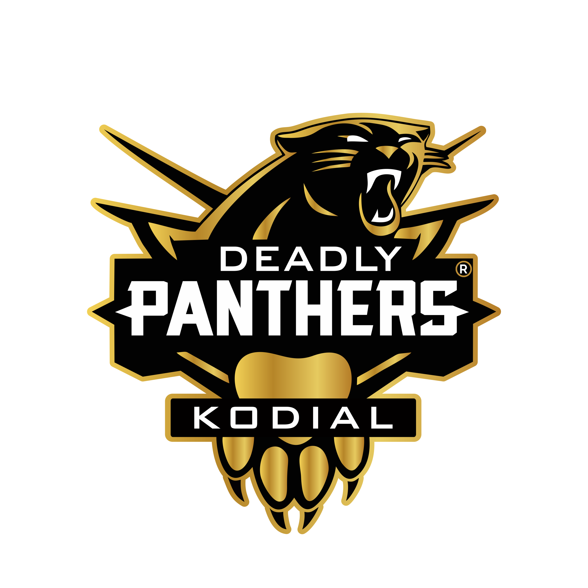 Deadly Panthers Logo